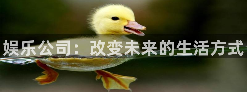 风暴娱乐登录入口