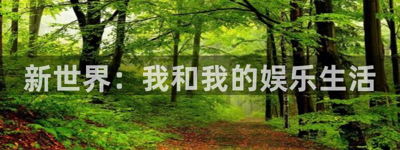 风暴娱乐官网