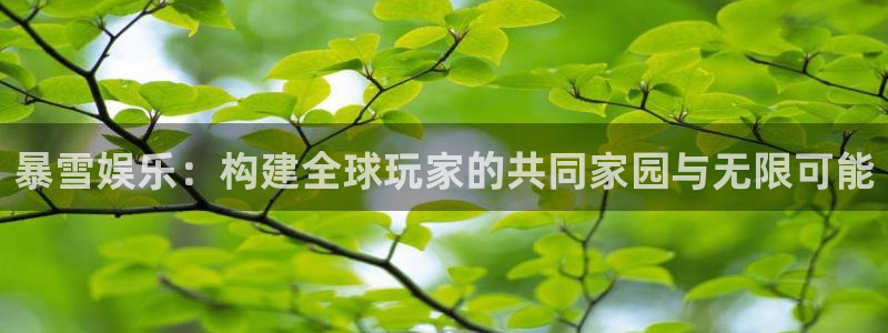 风暴娱乐