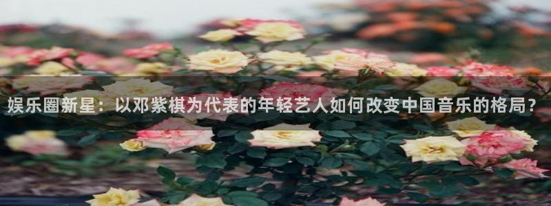 风暴娱乐登录入口