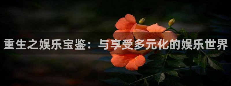 风暴娱乐登录地址