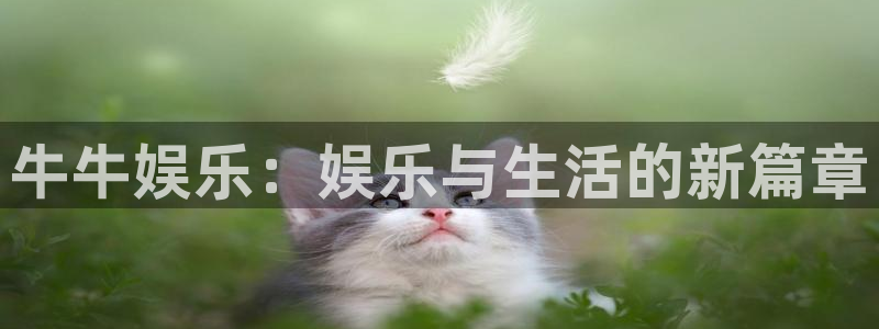 风暴娱乐登录地址