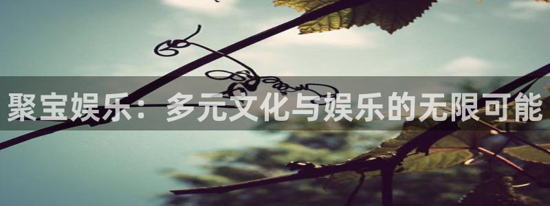 风暴娱乐登录入口