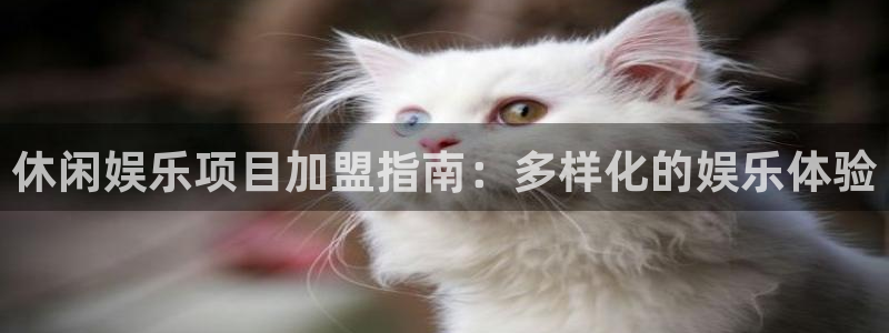 风暴娱乐登录