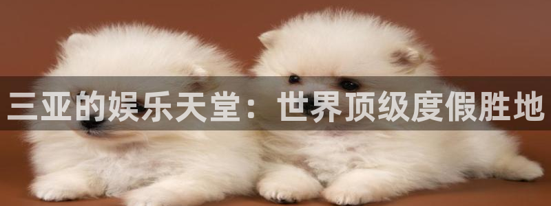 风暴娱乐登录入口